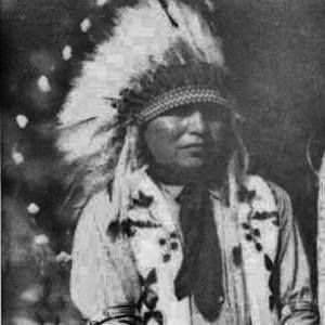 Meet your Posher, Royal